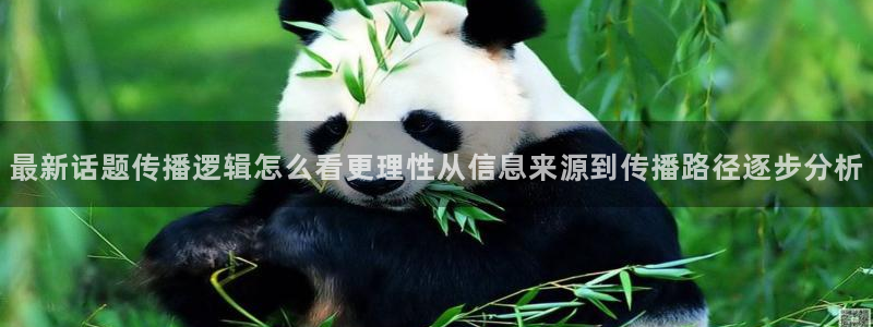 黑料爆料事件大全