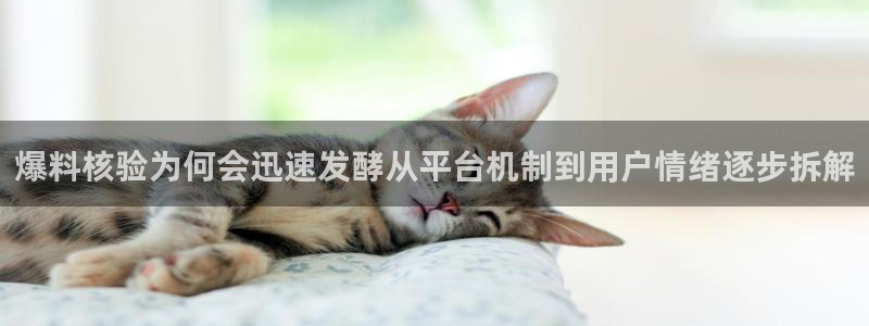 黑料网络事件