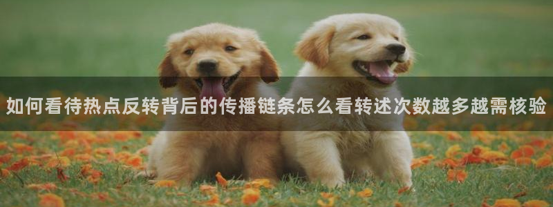 黑料爆料入口大全
