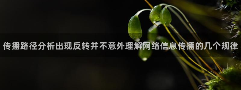 网络热点榜