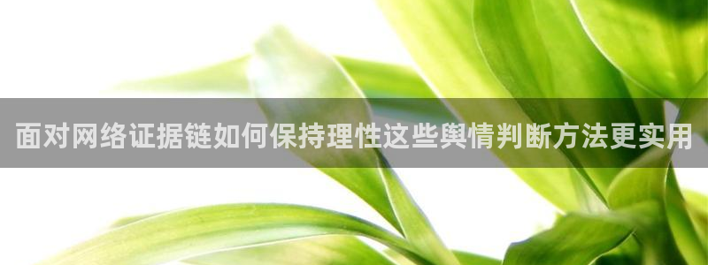 黑料爆料事件网