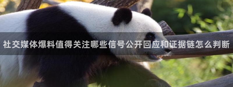 黑料爆料热点信息