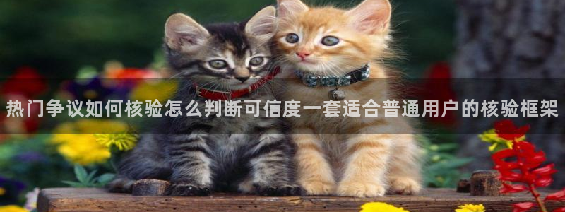 黑料爆料入口